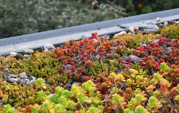 the cost of Leighton green roof installation