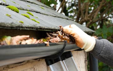 gutter cleaning Leighton