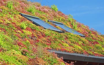 Leighton living roof systems
