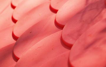 Leighton plastic roof costs