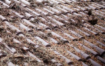 Leighton roof cleaning companies