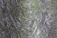 Leighton fibreglass roof work